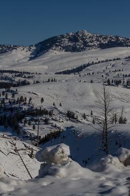 2019_ynp_febr