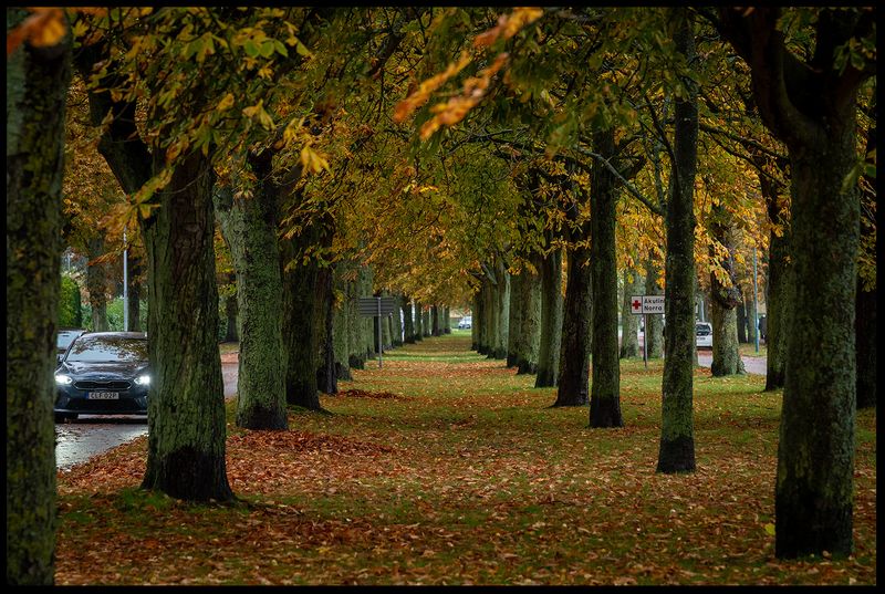 Trelleborg alley