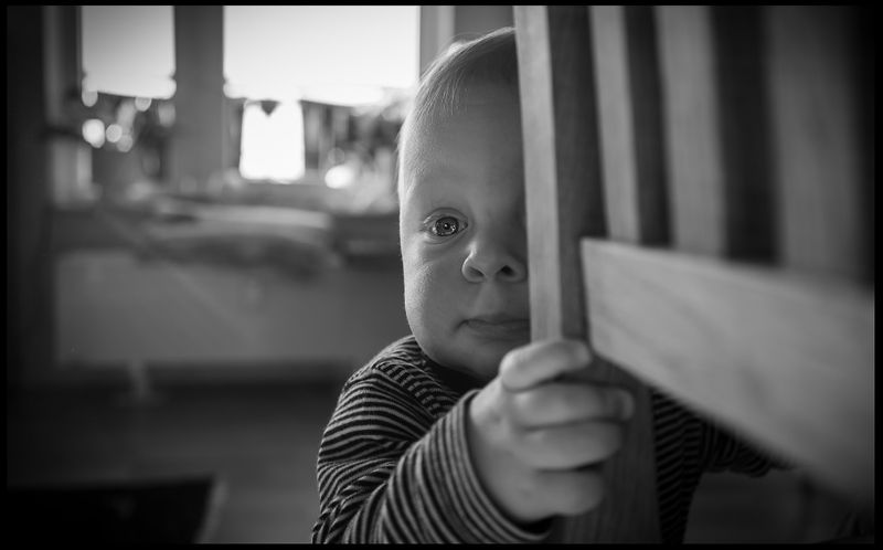 Vide - 11 months old, visiting our home in Limhamn