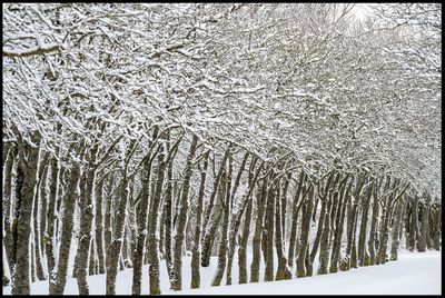 Winter in Grnhgen - land