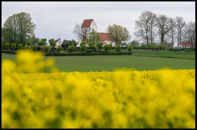 Bonderup church