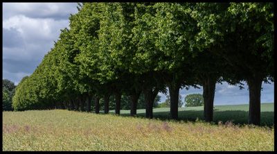Alley near Ystad