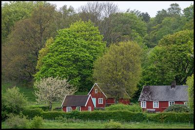 Björkeröd By