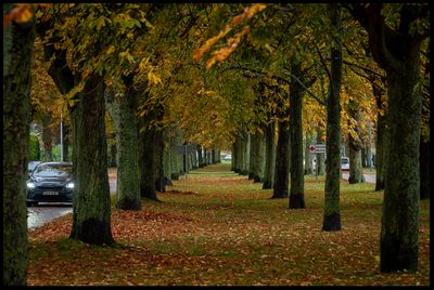 Trelleborg alley