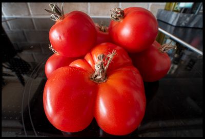Tomatoes on my stove with extreme wide-angle