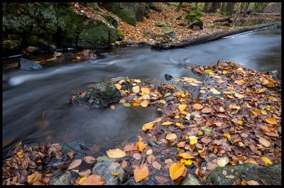 Autumn colors - Strntemlla 