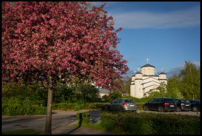 Rosengård