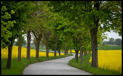 Srslv near Staffanstorp - Skne