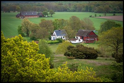 Landscapes 2021 - present