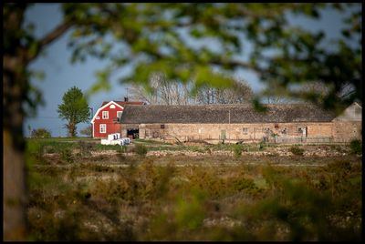 Ottenby & Southern Öland - People, Wildlife and Landscape