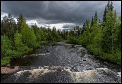 Landscapes 2021 - present
