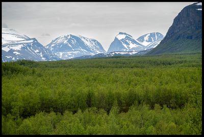 Landscapes 2021 - present