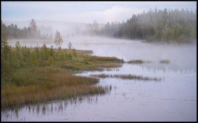 Landscapes 2021 - present