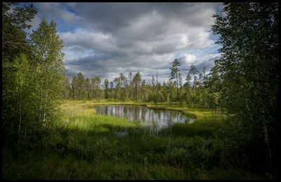 Landscapes 2021 - present