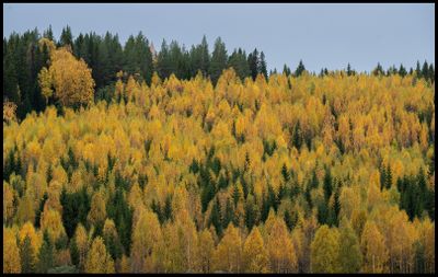 Landscapes 2021 - present