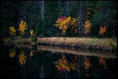 Landscapes 2021 - present
