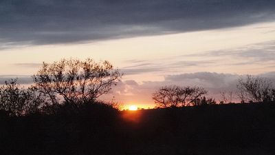 kxP1012120.JPG