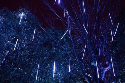 Winter Glow (3)