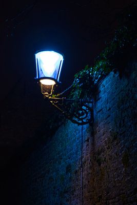 Winter Glow (3)