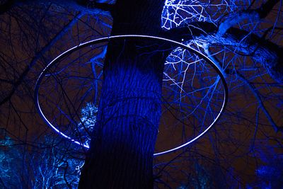 Winter Glow (3)