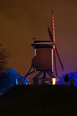 Winter Glow (3)