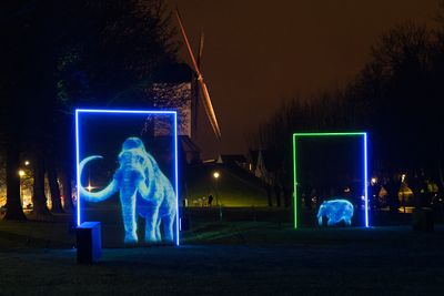 Winter Glow (3)