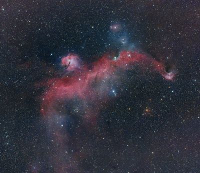 IC 2177 The Seagull Nebula