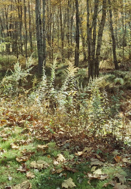 20241021_104107.jpg