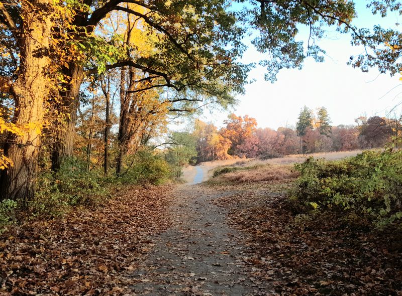 catskills_and_more
