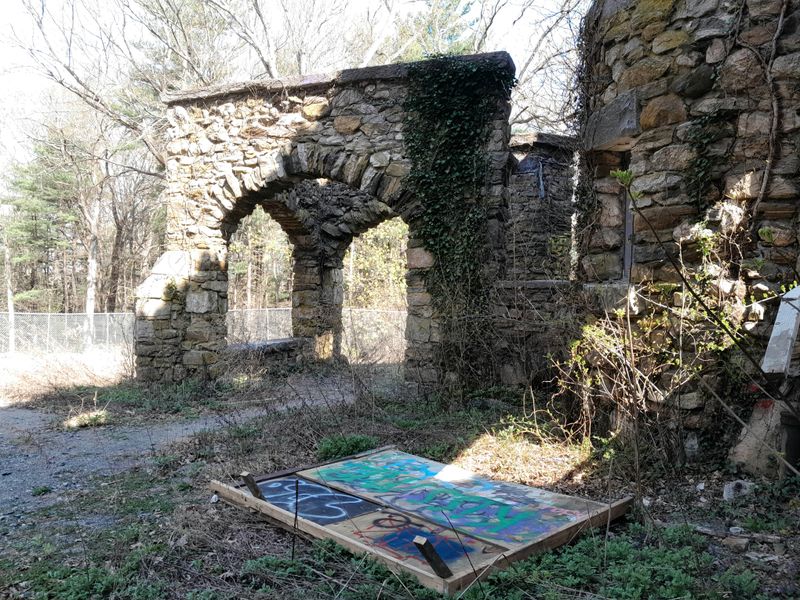 20250424_095047.jpg