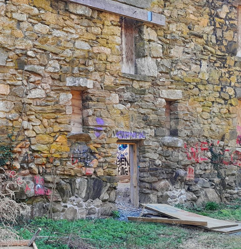 20250424_100417.jpg