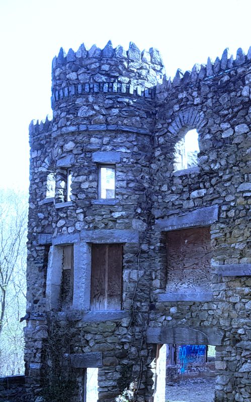 20250424_094003.jpg