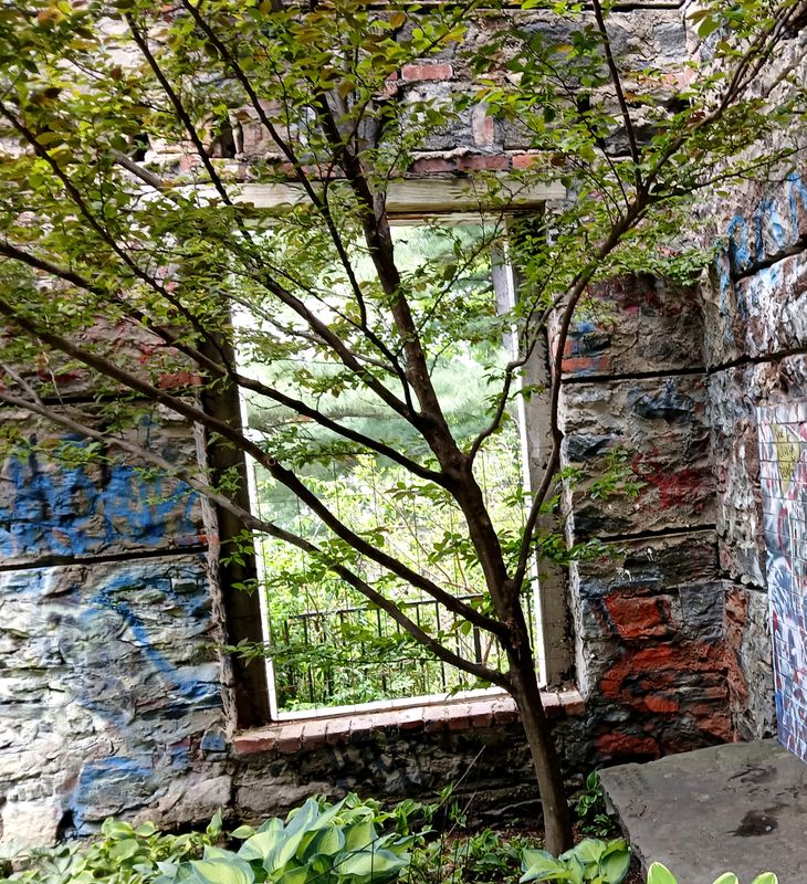 20250507_113527.jpg