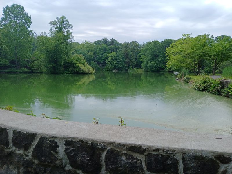 beltzhoover_teahouse_and_halsey_pond