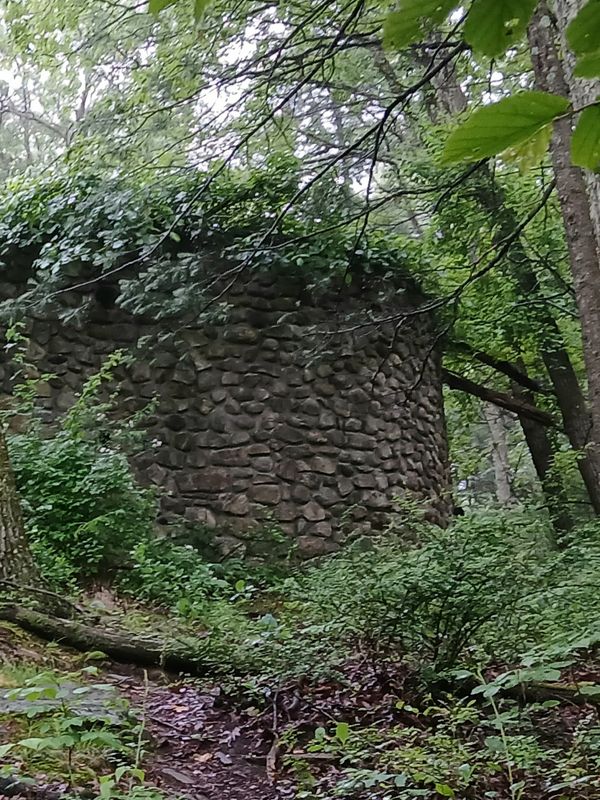 20250609_115406.jpg