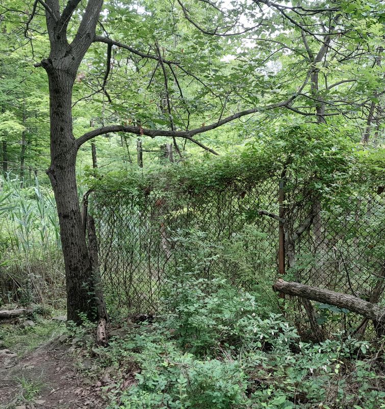 20250615_131650.jpg