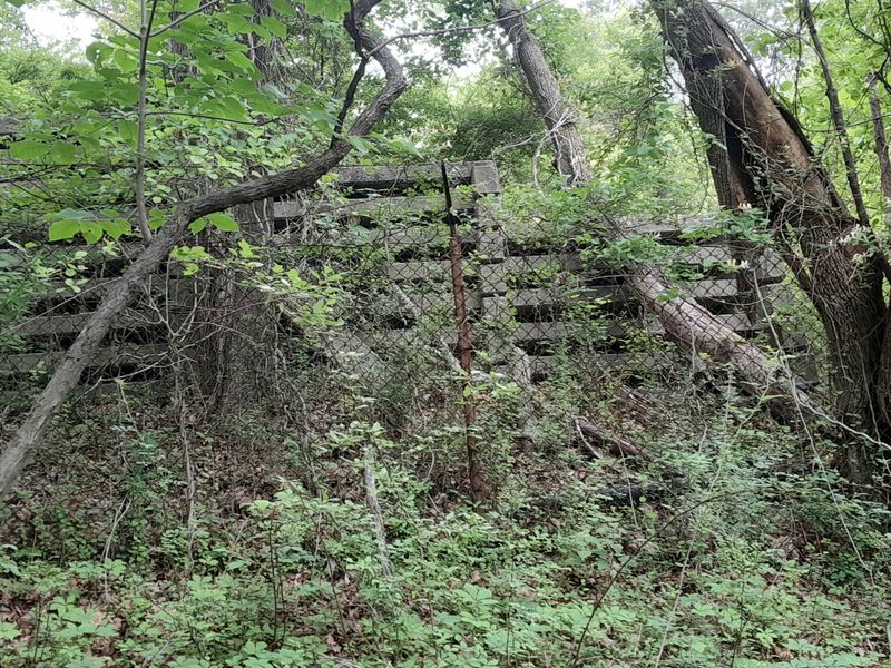 20250615_132007.jpg