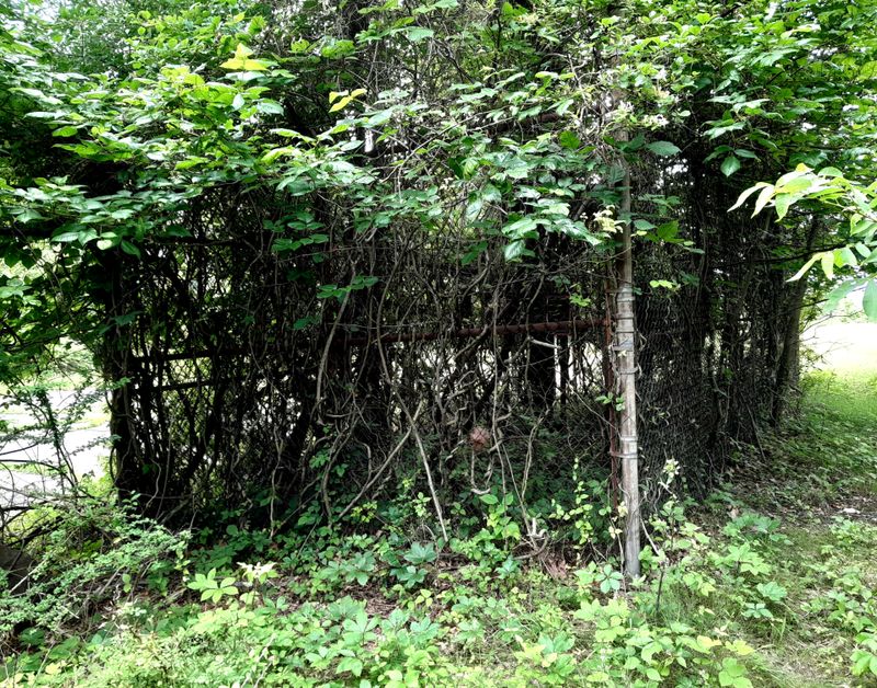 20250615_133758.jpg