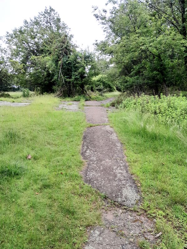 20250615_130735.jpg