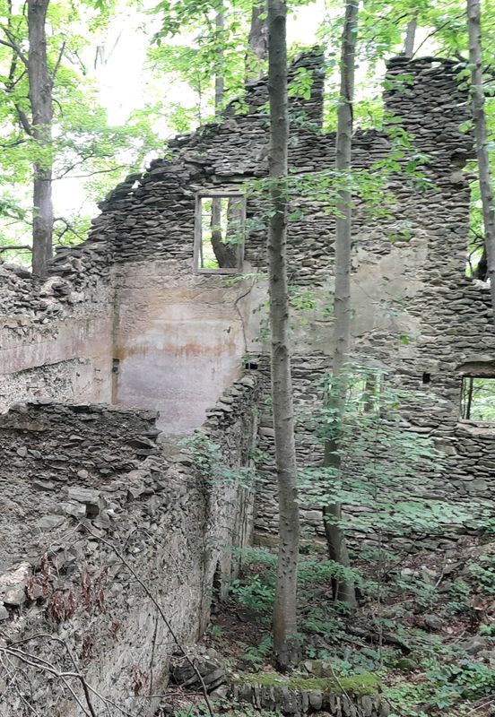 20250627_111006.jpg