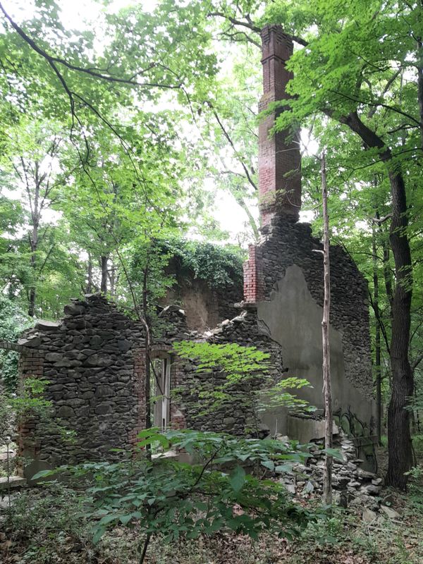 Cedar Glen Estate Ruins