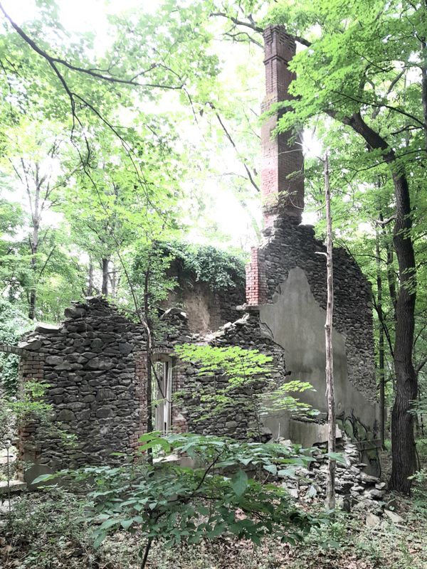 20250627_110156.jpg