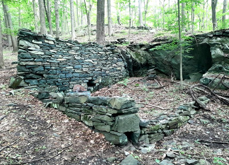 20250627_105808.jpg