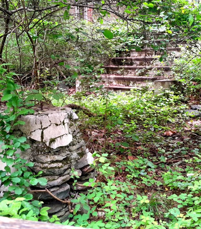 20250627_111237.jpg