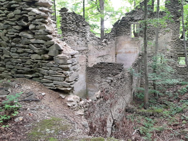 20250627_111010.jpg