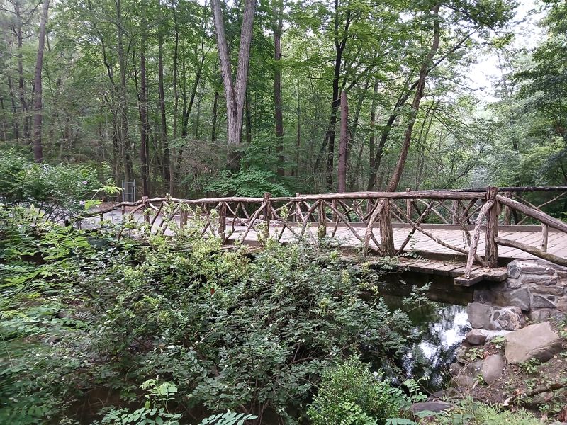 20250727_091215.jpg