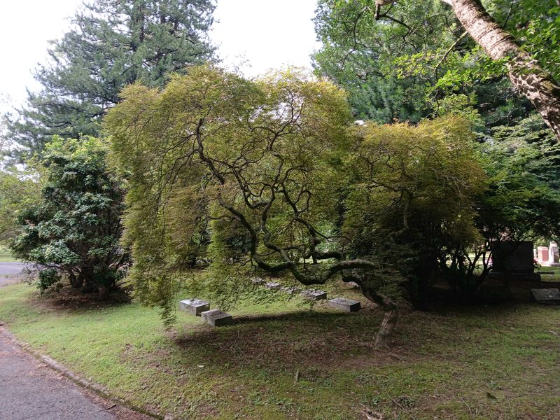 20250726_085103.jpg