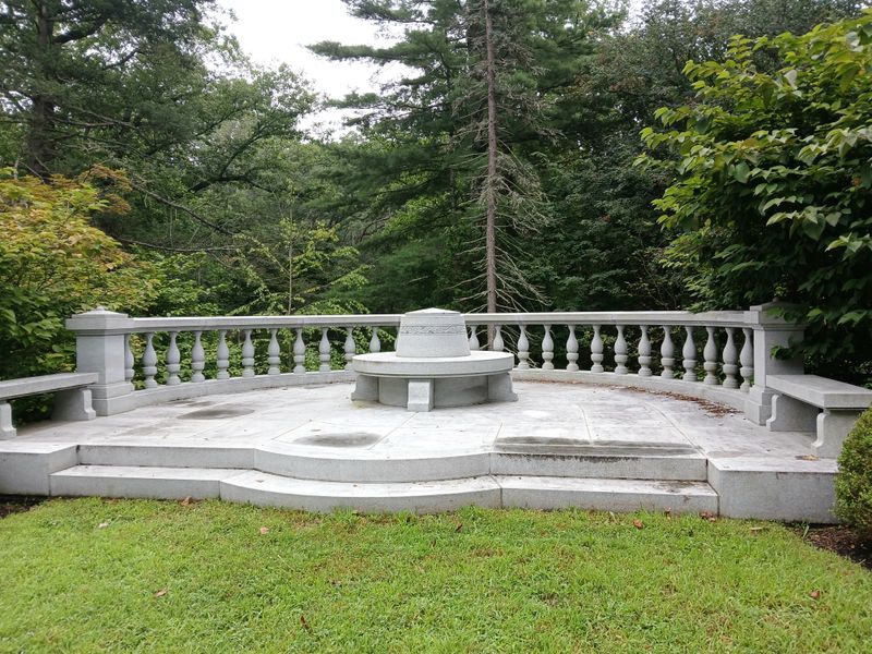 20250727_090737.jpg