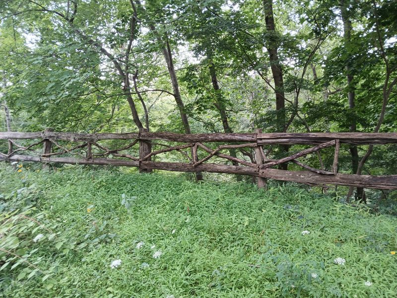20250731_103510.jpg