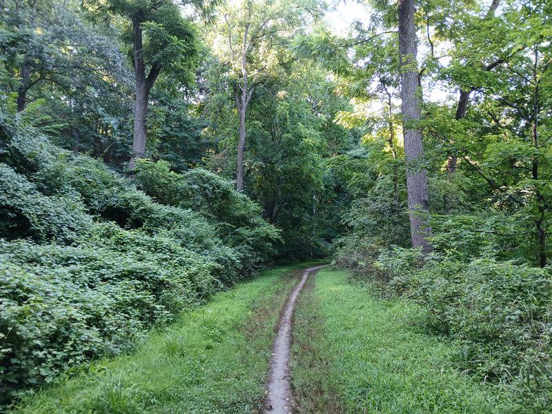 20250808_090041.jpg
